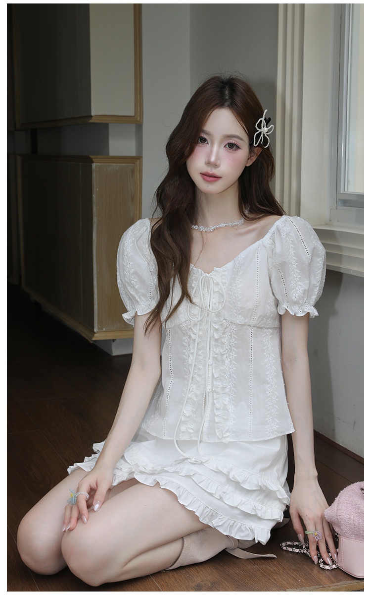 Embroidery frenum chiffon shirt V-neck tops for women
