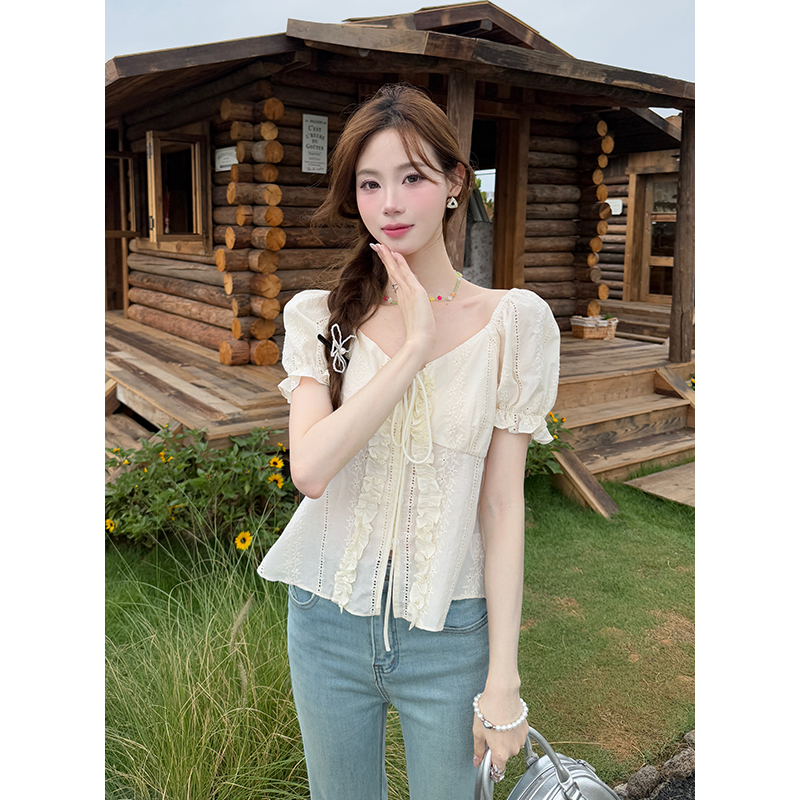Embroidery frenum chiffon shirt V-neck tops for women
