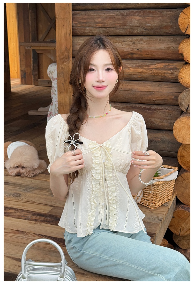 Embroidery frenum chiffon shirt V-neck tops for women