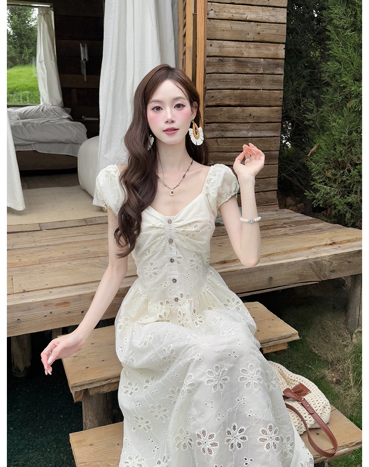 Elegant embroidery France style summer dress for women