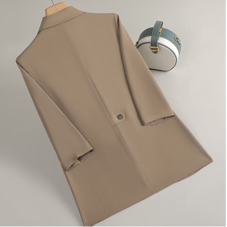 Spring and autumn business suit small Casual coat