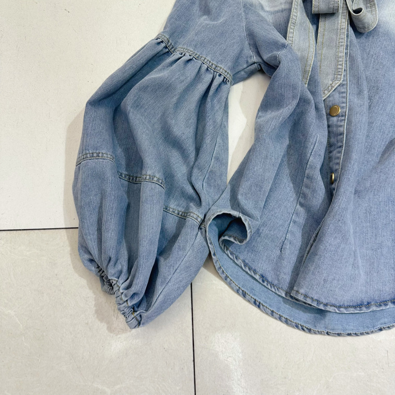 Loose niche retro puff sleeve tops