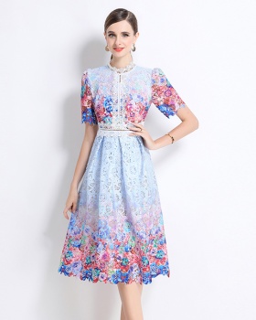 Long hollow slim fashion lace short sleeve dress