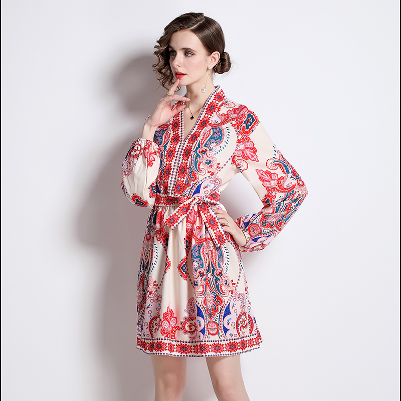 Casual printing European style V-neck dress