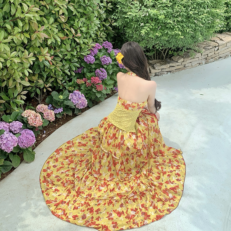 Half spicegirl long skirt sling floral tops a set