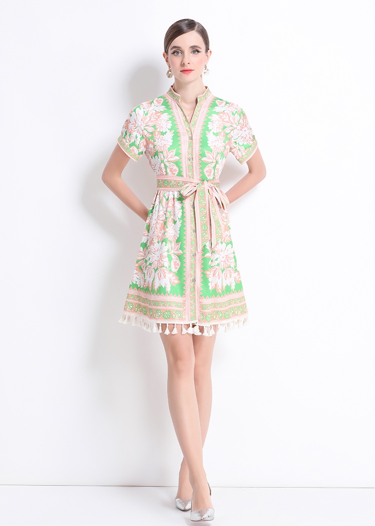 Printing court style pinched waist V-neck retro slim dress