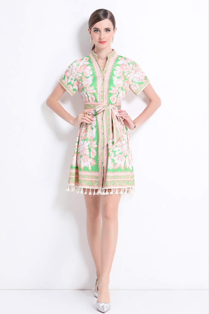 Printing court style pinched waist V-neck retro slim dress