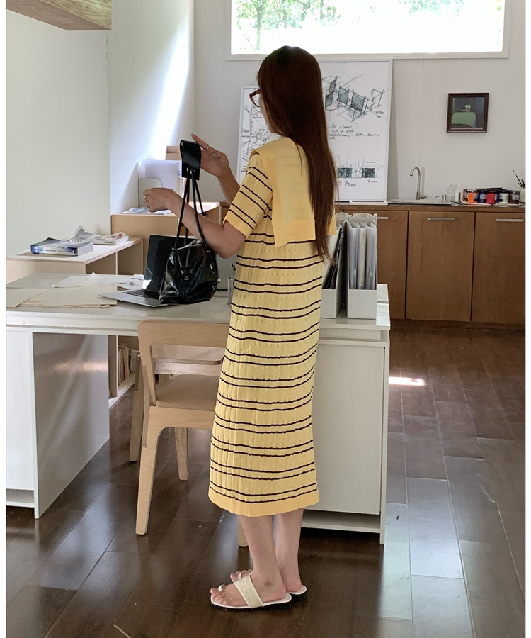 France style slim shawl short sleeve dress 2pcs set