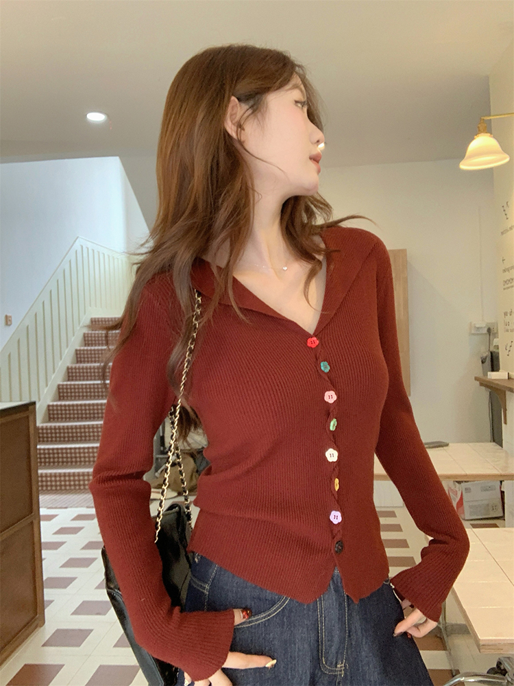 Slim Korean style sweater autumn tops for women