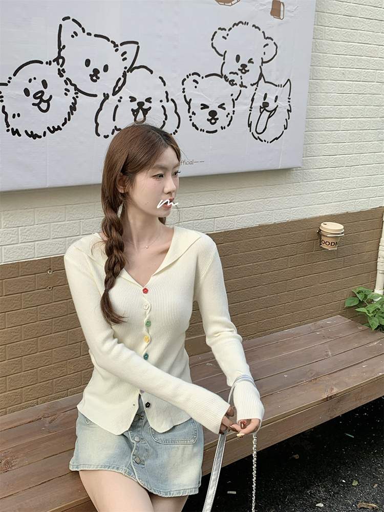 Slim Korean style sweater autumn tops for women