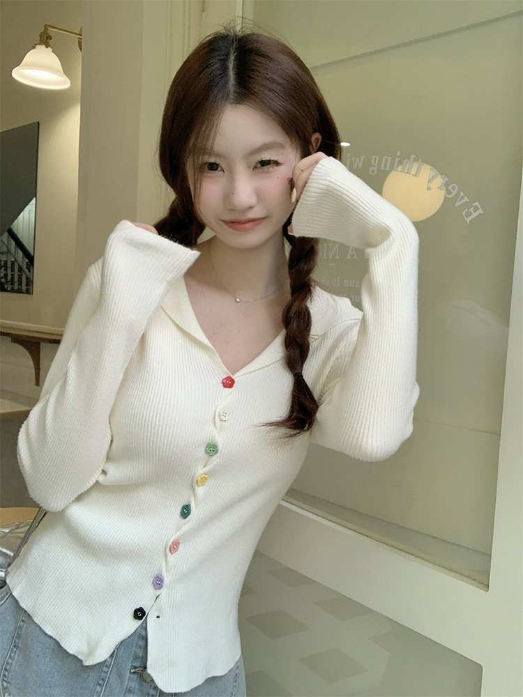 Slim Korean style sweater autumn tops for women