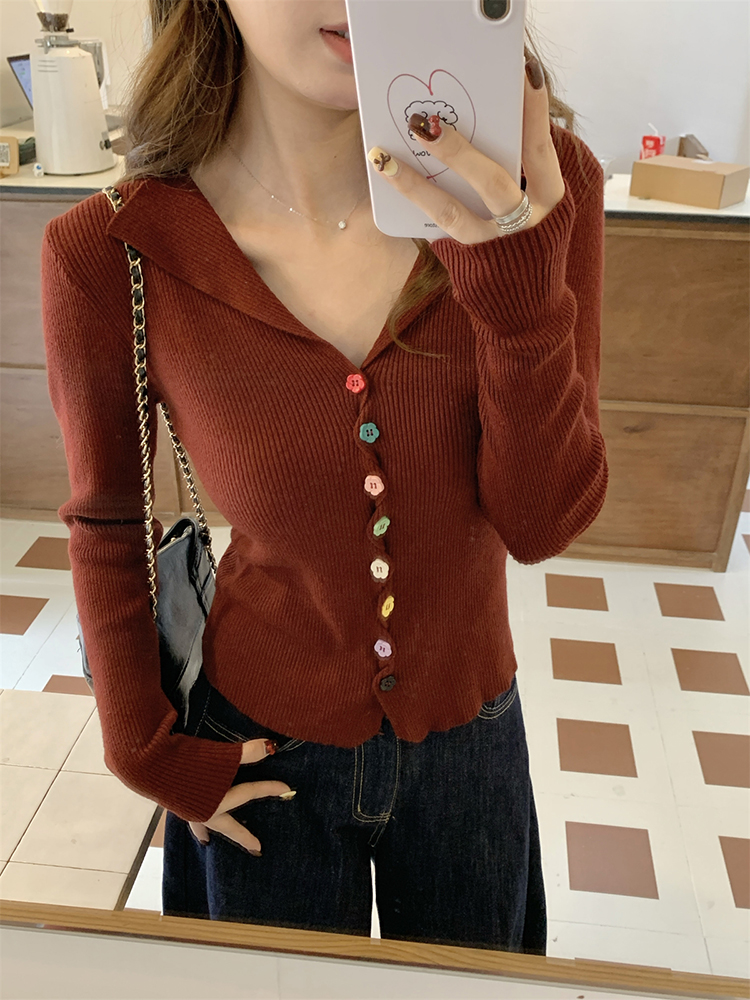 Slim Korean style sweater autumn tops for women