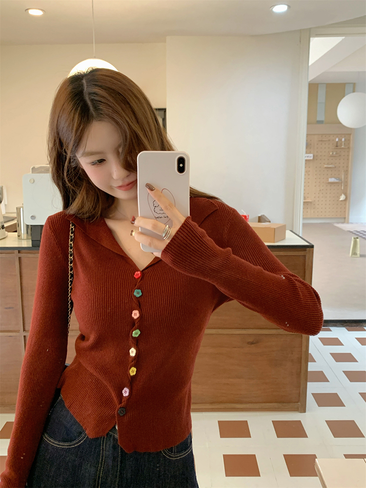 Slim Korean style sweater autumn tops for women