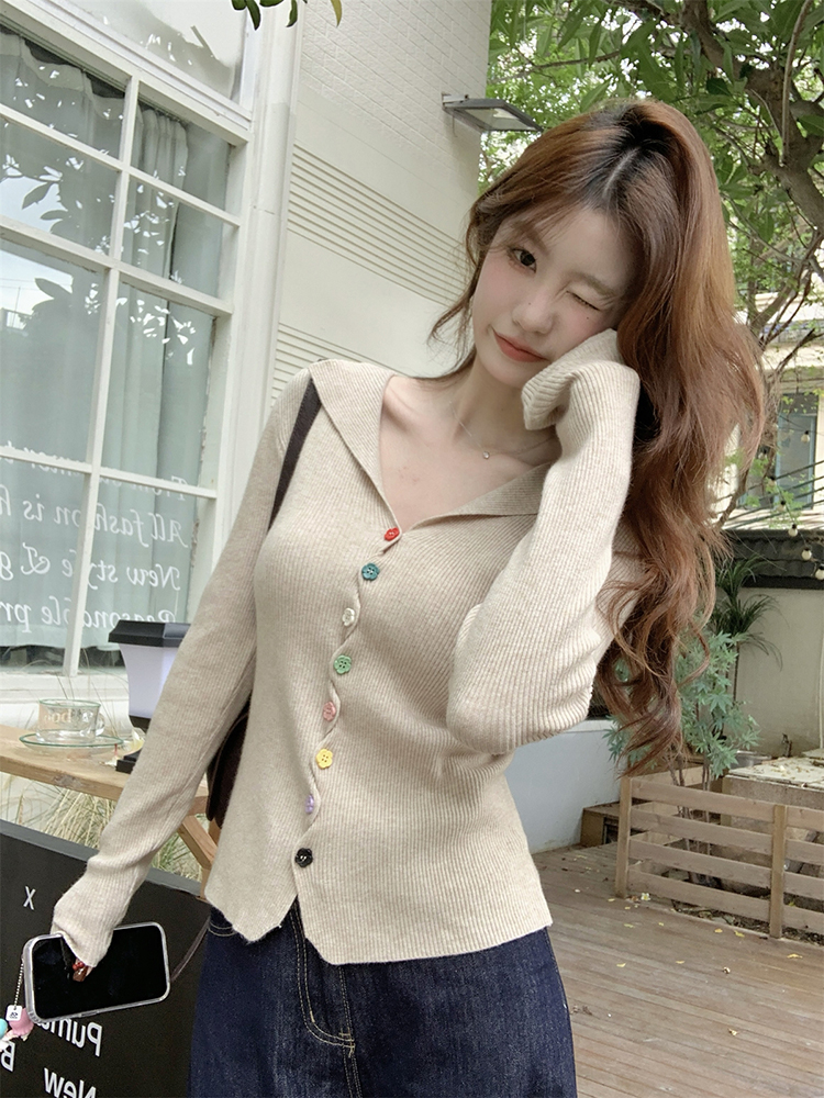 Slim Korean style sweater autumn tops for women