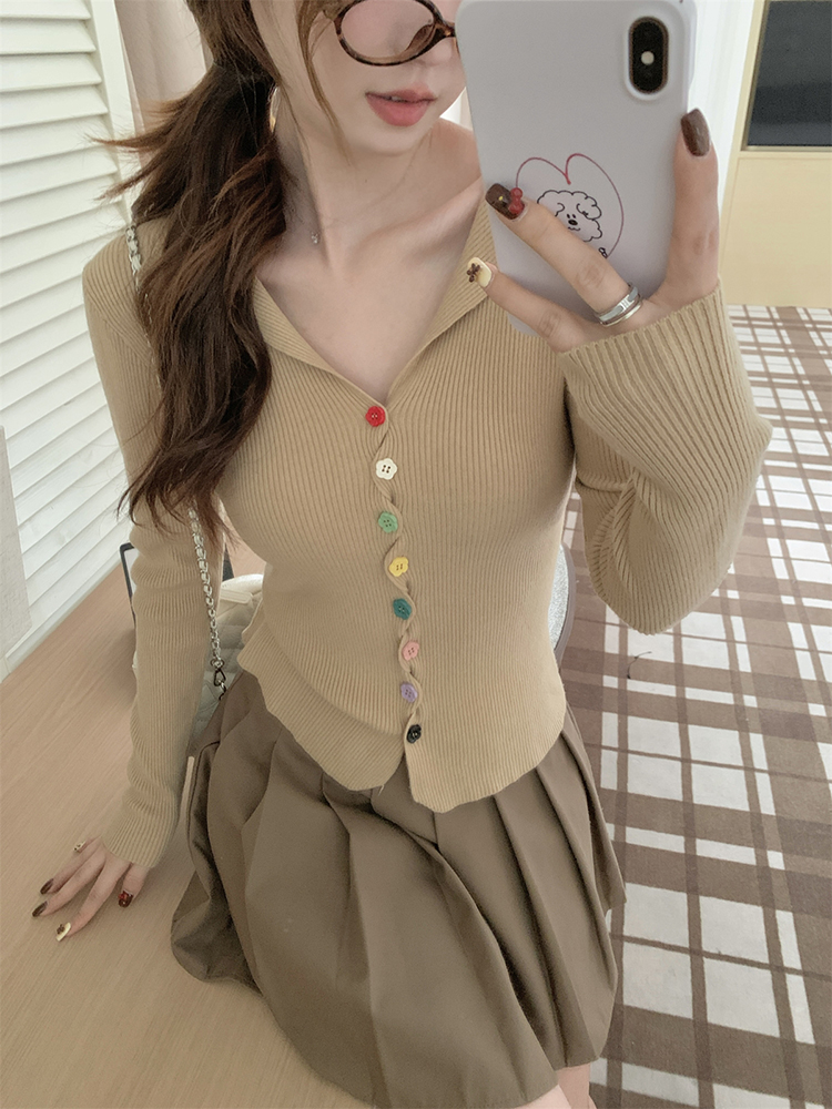 Slim Korean style sweater autumn tops for women