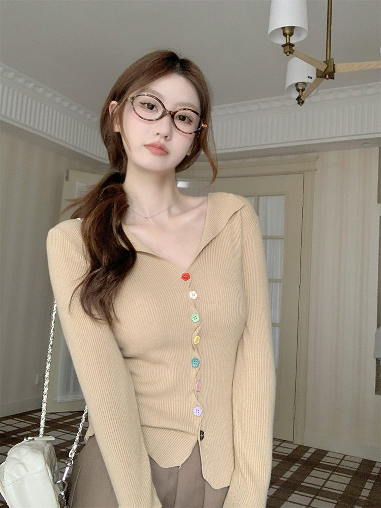 Slim Korean style sweater autumn tops for women