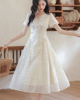 Summer temperament long dress polka dot dress for women