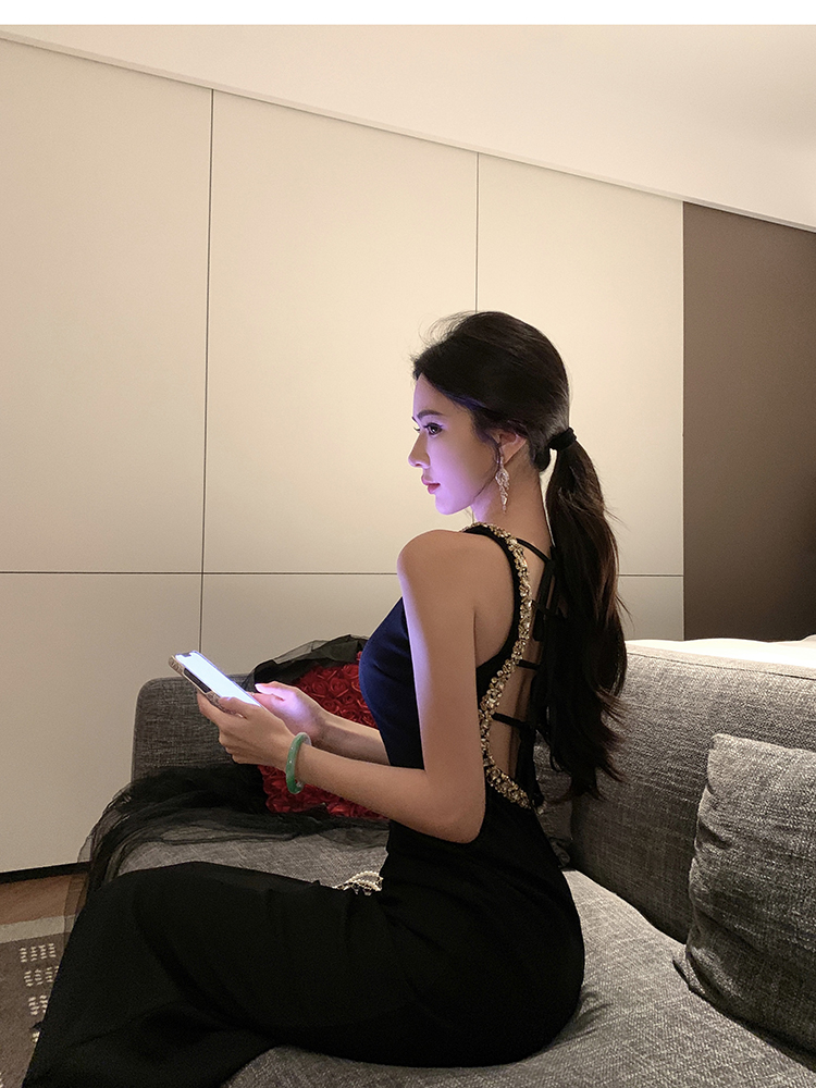 Long temperament dress light luxury ladies formal dress