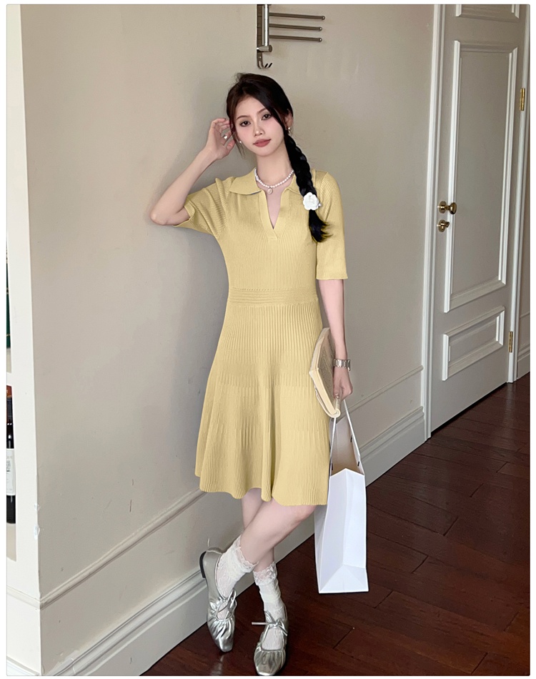 Temperament long France style pinched waist dress