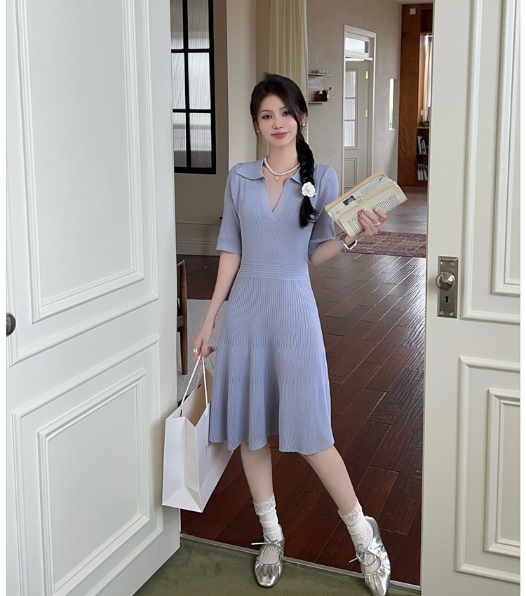Temperament long France style pinched waist dress