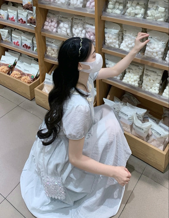 Embroidery sweet puff sleeve bow art fresh dress