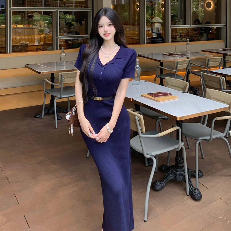 Temperament long dress France style dress for women