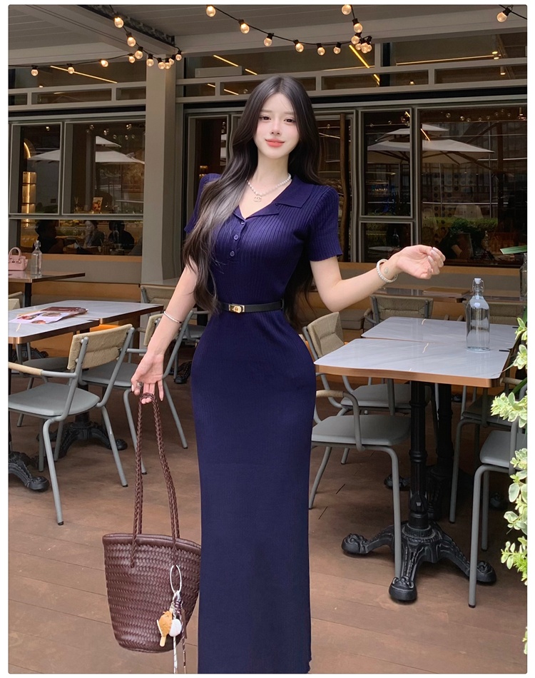 Temperament long dress France style dress for women
