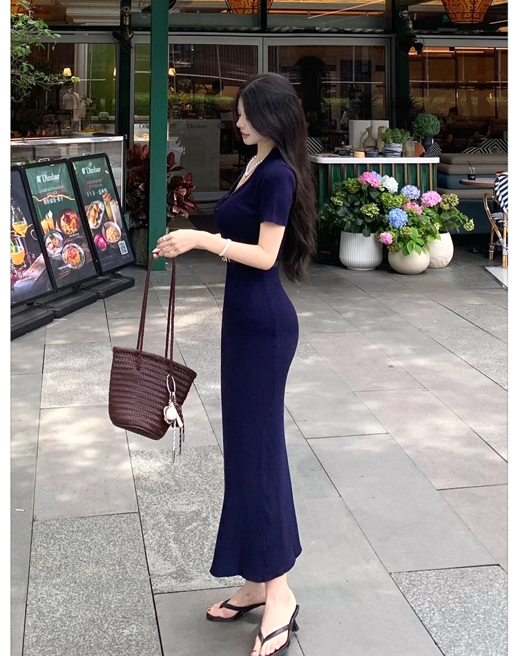 Temperament long dress France style dress for women