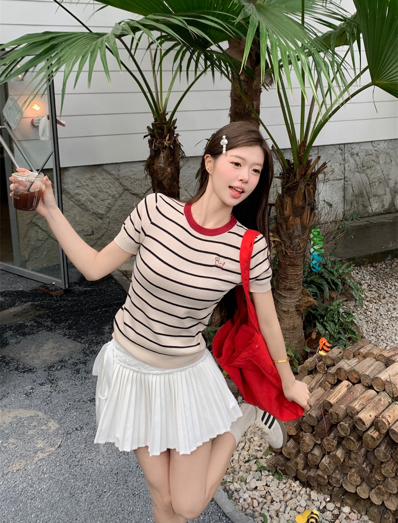 Spring and summer puppy T-shirt embroidery tops for women