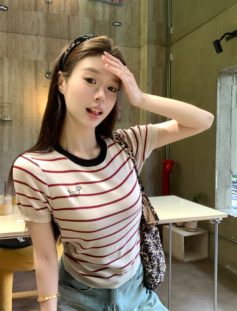 Spring and summer puppy T-shirt embroidery tops for women