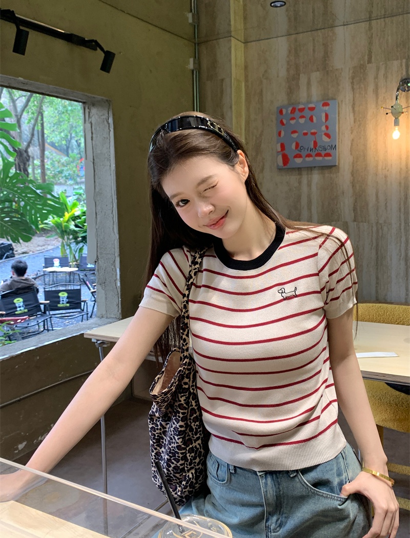 Spring and summer puppy T-shirt embroidery tops for women
