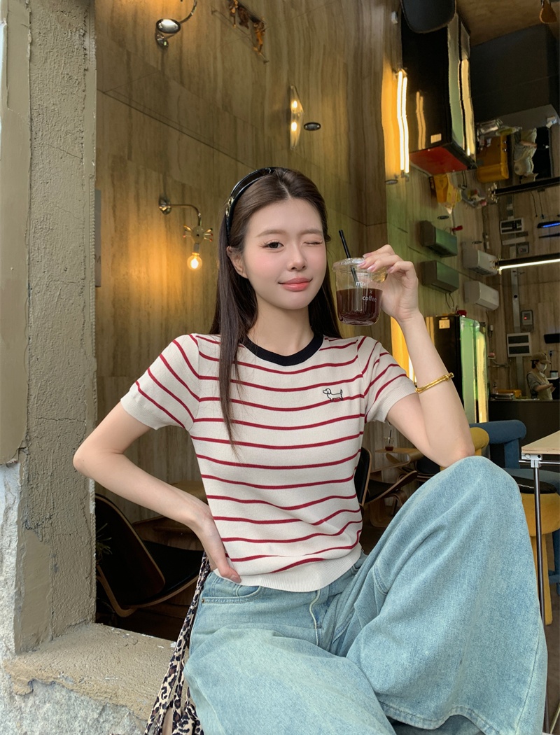 Spring and summer puppy T-shirt embroidery tops for women