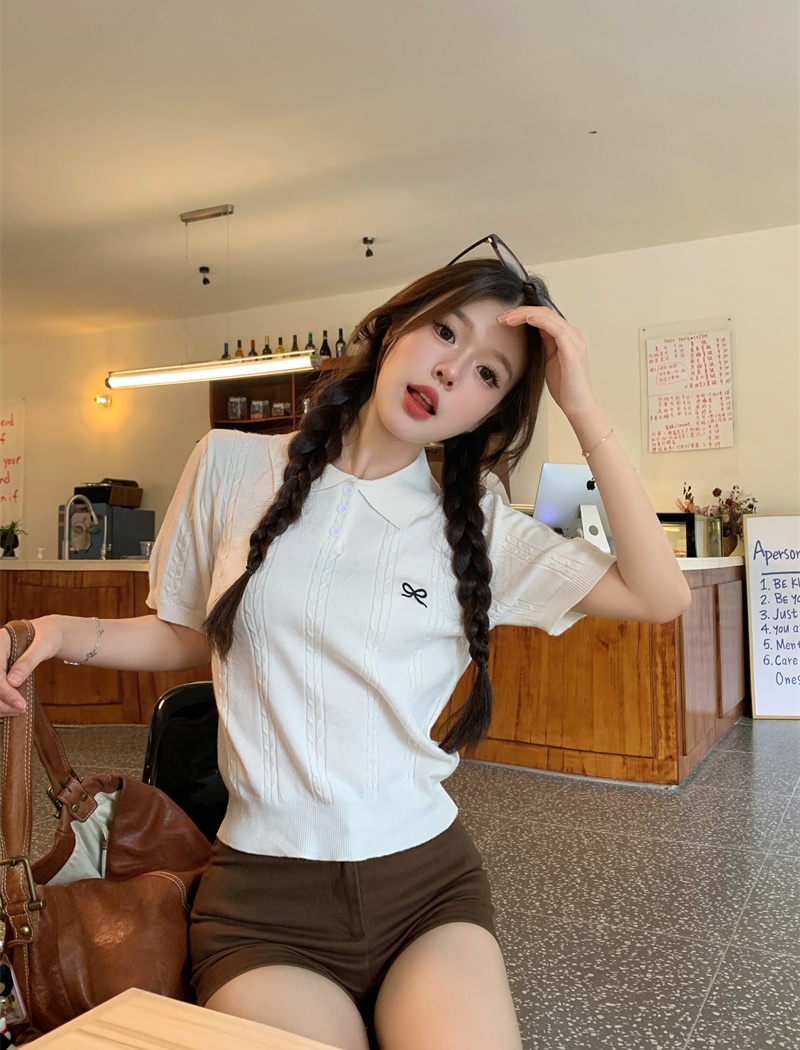Slim pullover sweater bow embroidery tops for women