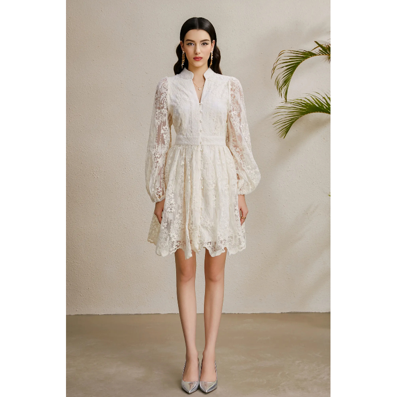 Embroidery V-neck autumn lantern sleeve vacation dress