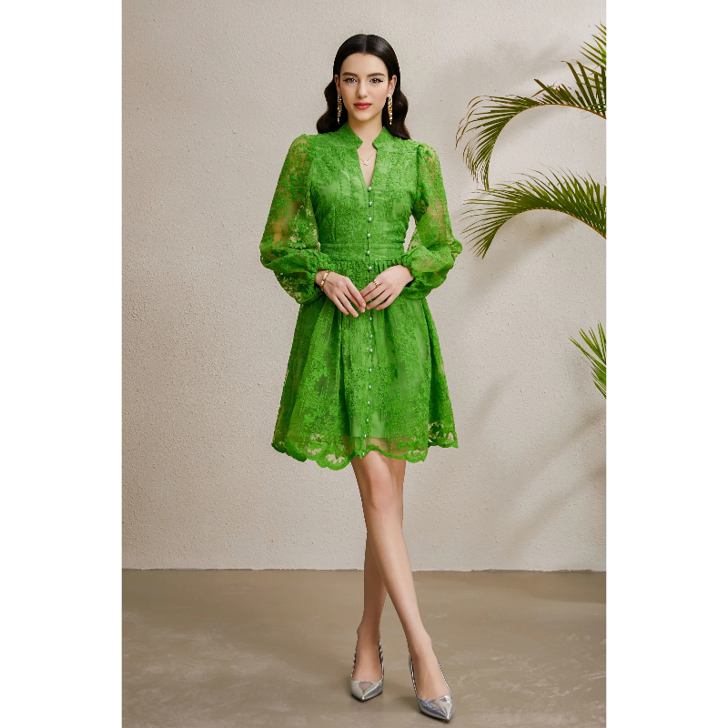 Embroidery V-neck autumn vacation lantern sleeve dress