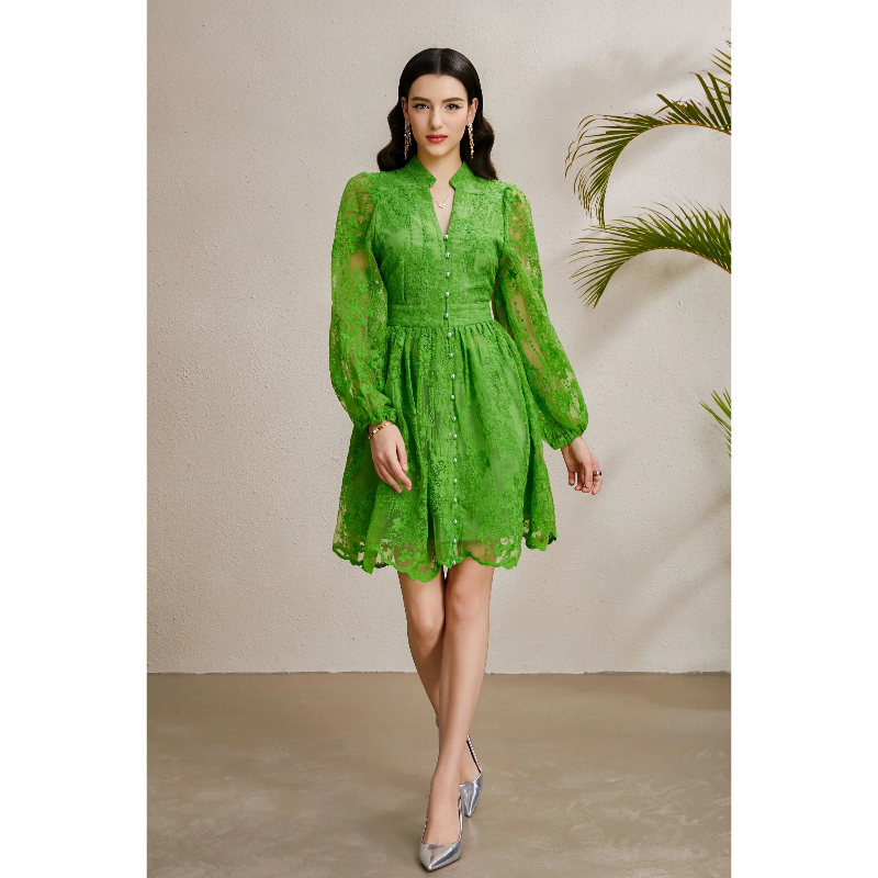 Embroidery V-neck autumn vacation lantern sleeve dress