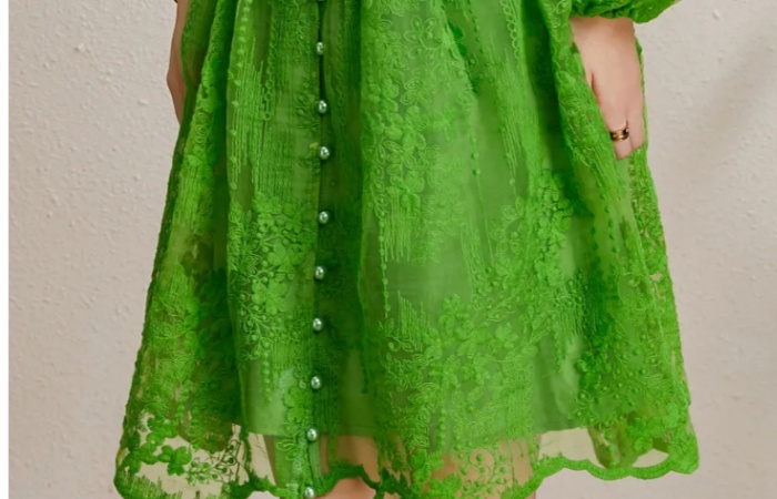 Embroidery V-neck autumn vacation lantern sleeve dress
