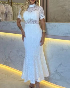 Cstand collar long dress light luxury dress for women