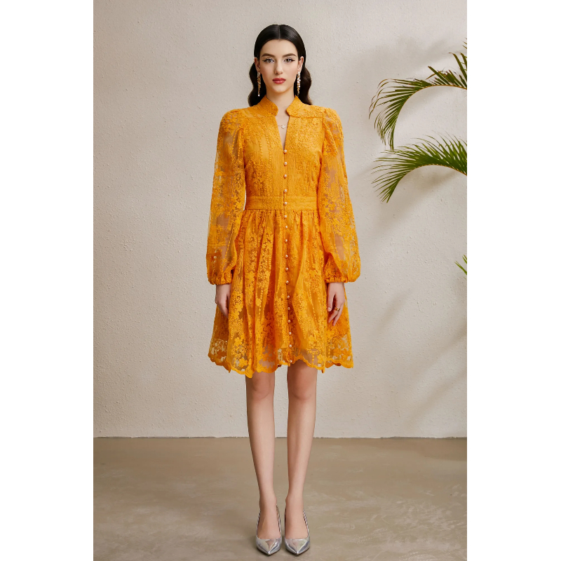Vacation V-neck lantern sleeve autumn embroidery dress