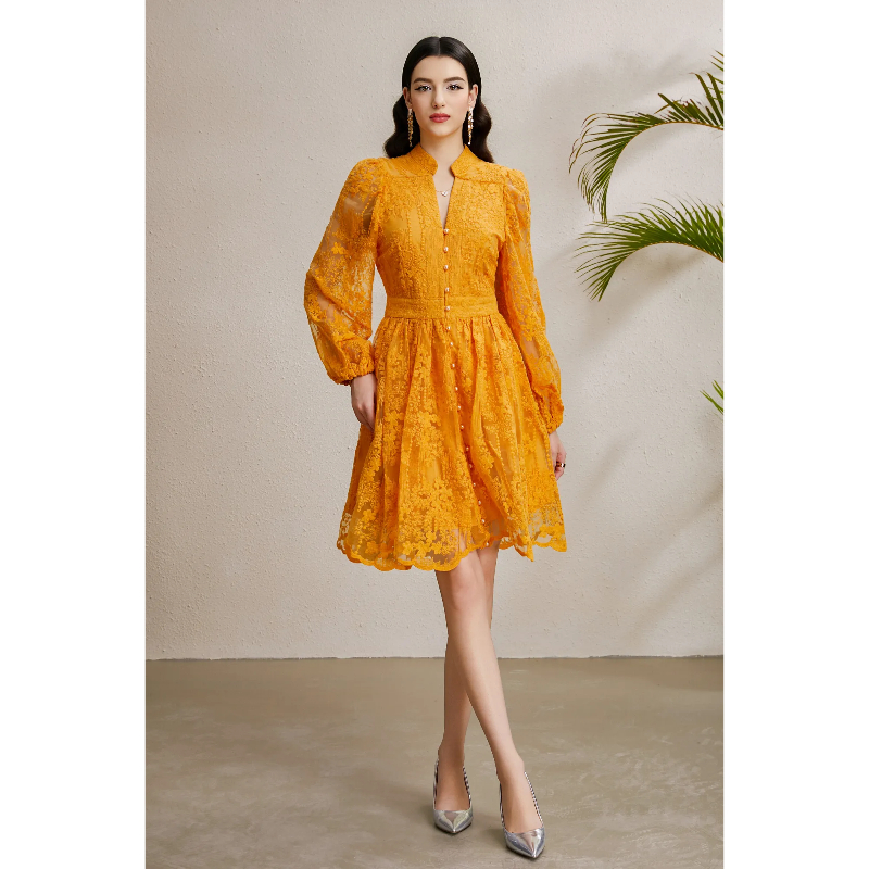 Vacation V-neck lantern sleeve autumn embroidery dress