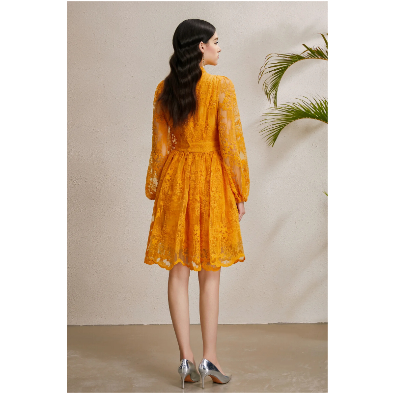 Vacation V-neck lantern sleeve autumn embroidery dress