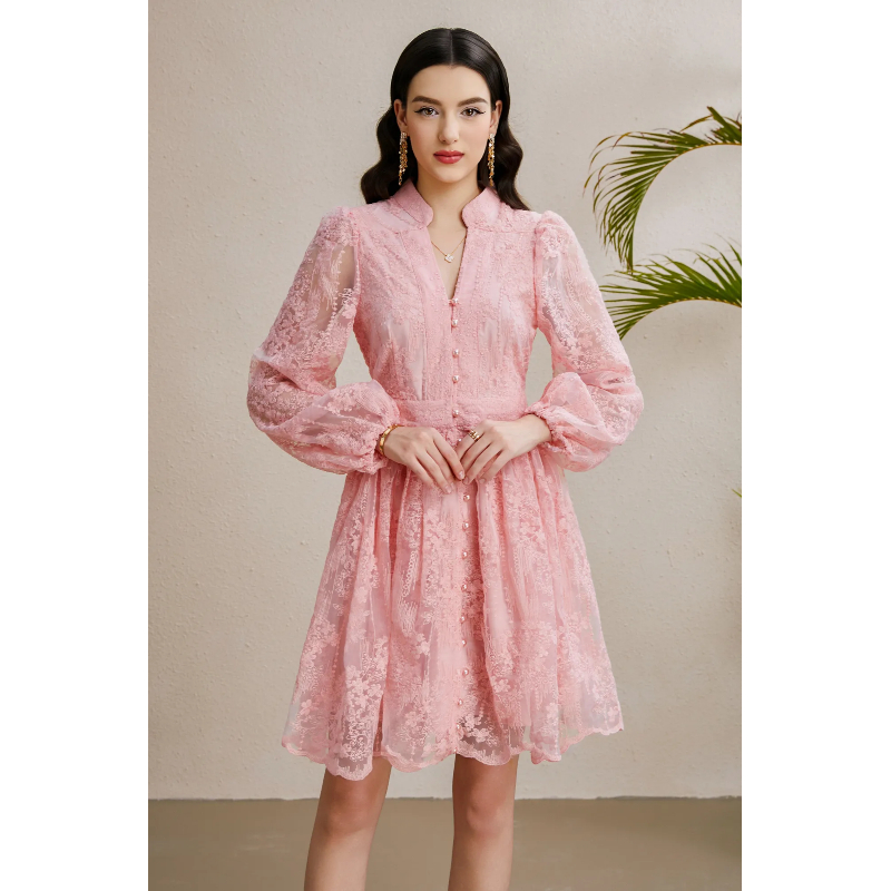Vacation embroidery lantern sleeve autumn V-neck dress