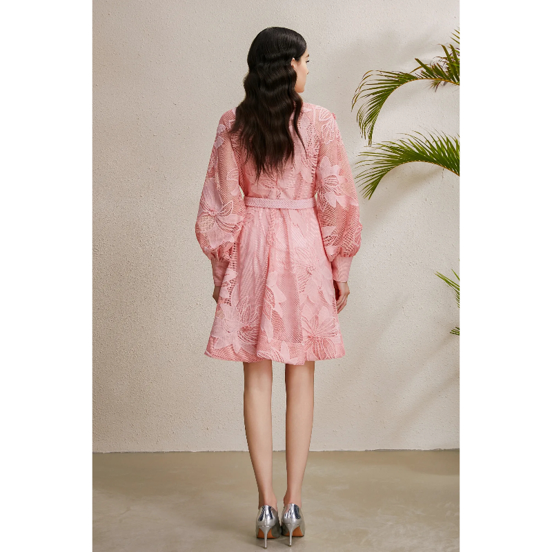 Court style lace stereoscopic autumn cstand collar dress