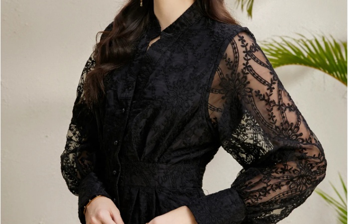 V-neck embroidery court style autumn lantern sleeve dress
