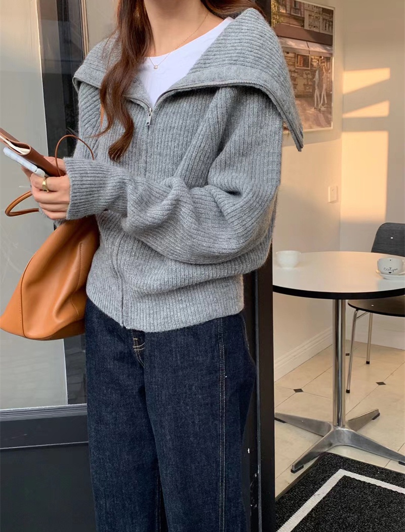 Zip loose coat Korean style sweater for women