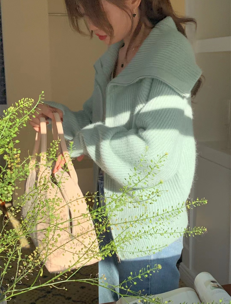 Zip loose coat Korean style sweater for women