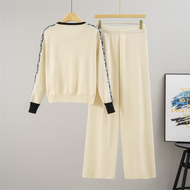 Casual sports wide leg pants 2pcs set for women