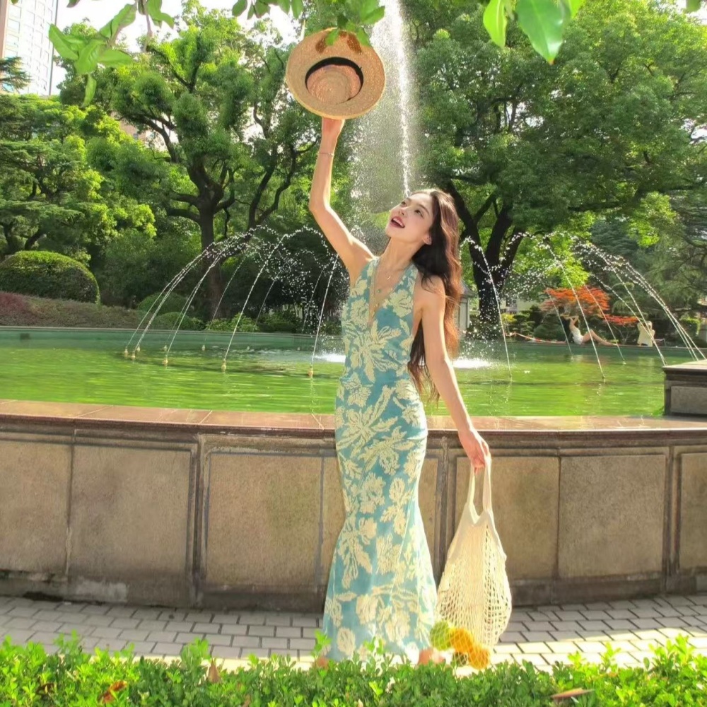 Floral summer long dress V-neck France style dress for women