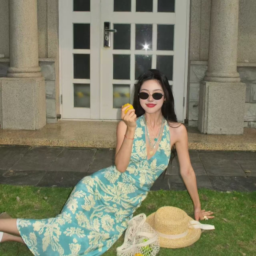 Floral summer long dress V-neck France style dress for women