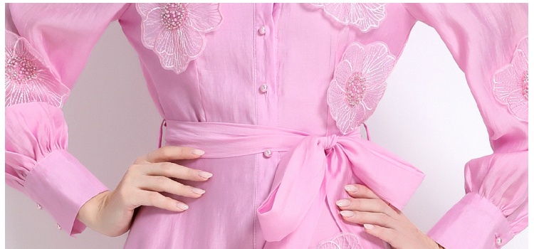 Long sleeve pinched waist long dress embroidery dress